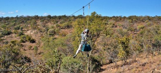 Canopy Tour