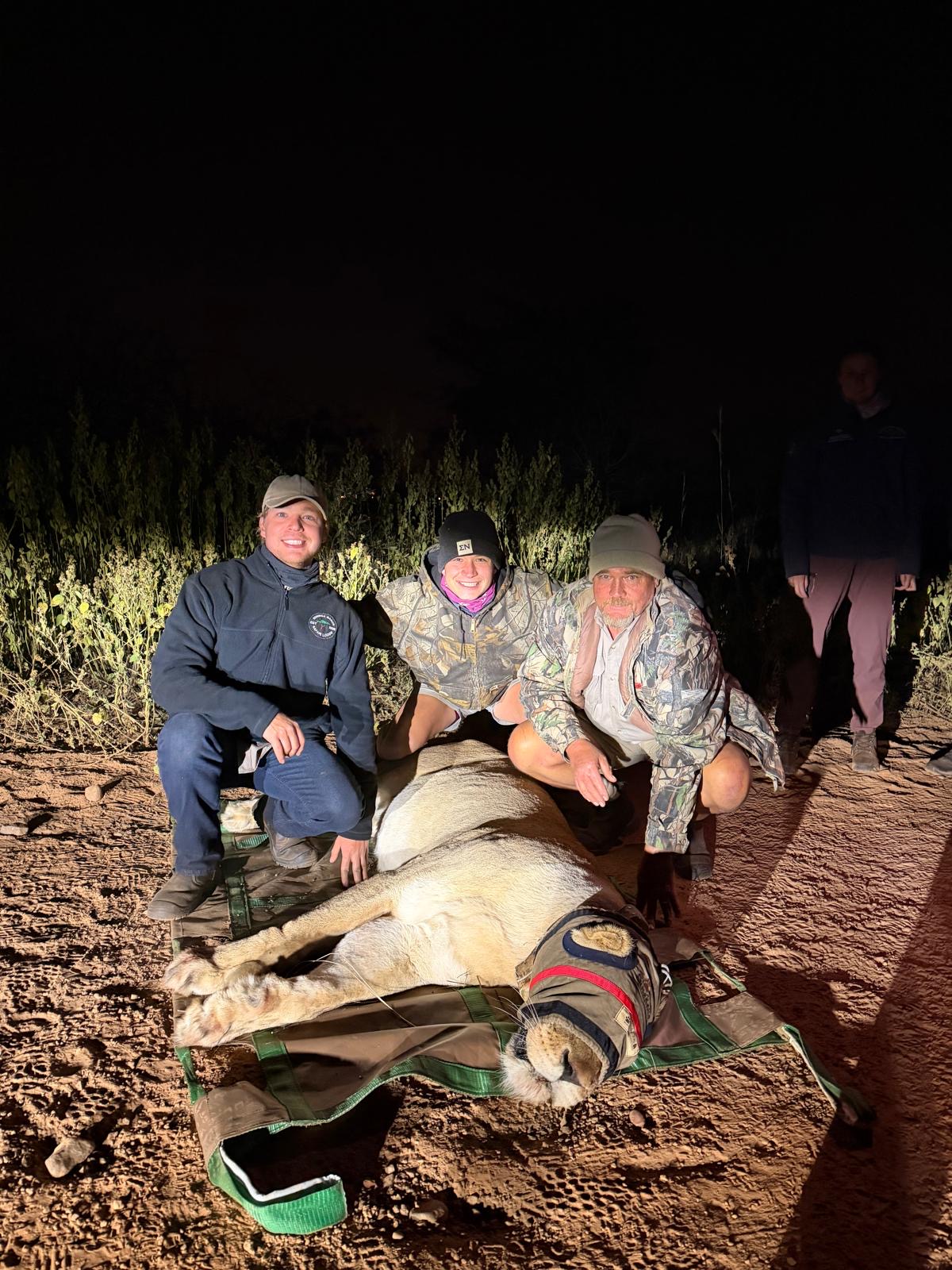 Veterinary students and instructors during a supervised lion case at a partner location