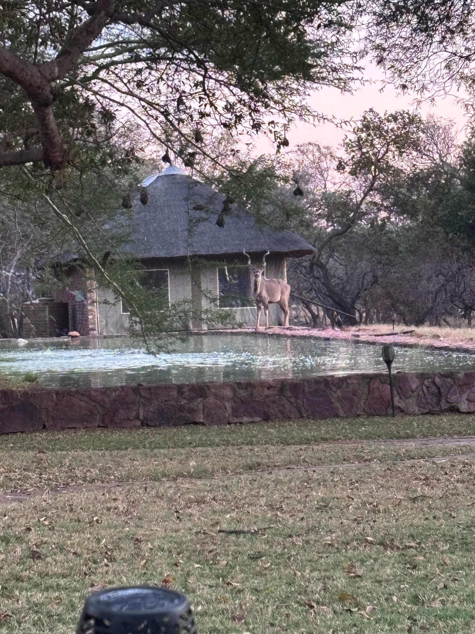 Seringa lodge beside the water after sunset