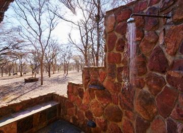 Leopard Suite Shower